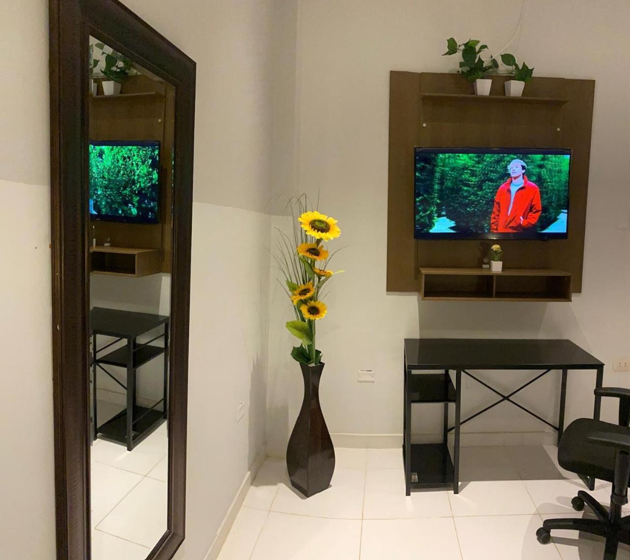 Millennium Hotel Corporative Сан-Висенте-де-Каньете Экстерьер фото